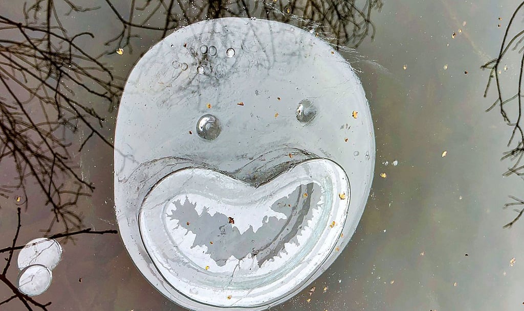 Gar nicht lustig fanden Richter ein Smiley auf dem Wahlzettel.