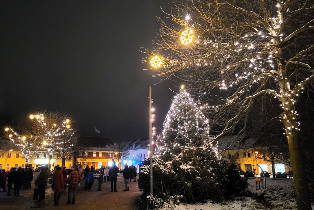 Machen dem Weihnachtsleuchten alle Ehre: der Weihnachtsbaum und die beleuchteten Bäume.