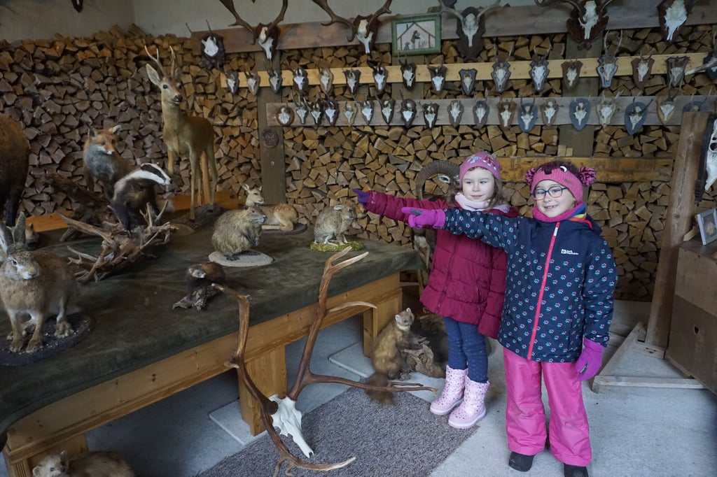 Lia und Anni lernen in der Naturscheune in Tucheim, die Tiere aus Wald und Flur korrekt zu benennen.