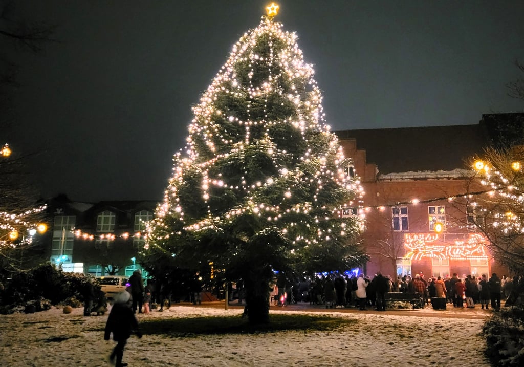 Mittlerweile von allen anerkannt: Der schönste Weihnachtsbaum im Jerichower Land steht in Genthin auf dem Marktplatz. Zum Weihnachtsleuchten erstrahlte er zum ersten Mal im Lichterglanz.