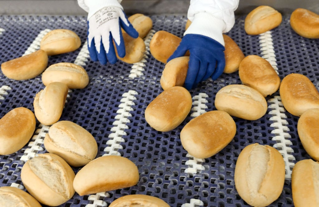 An einem Band werden Brötchen nach Herstellungsmängeln in der Aryzta Bakeries Deutschland GmbH in Lutherstadt Eisleben (Sachsen-Anhalt) abgesucht.