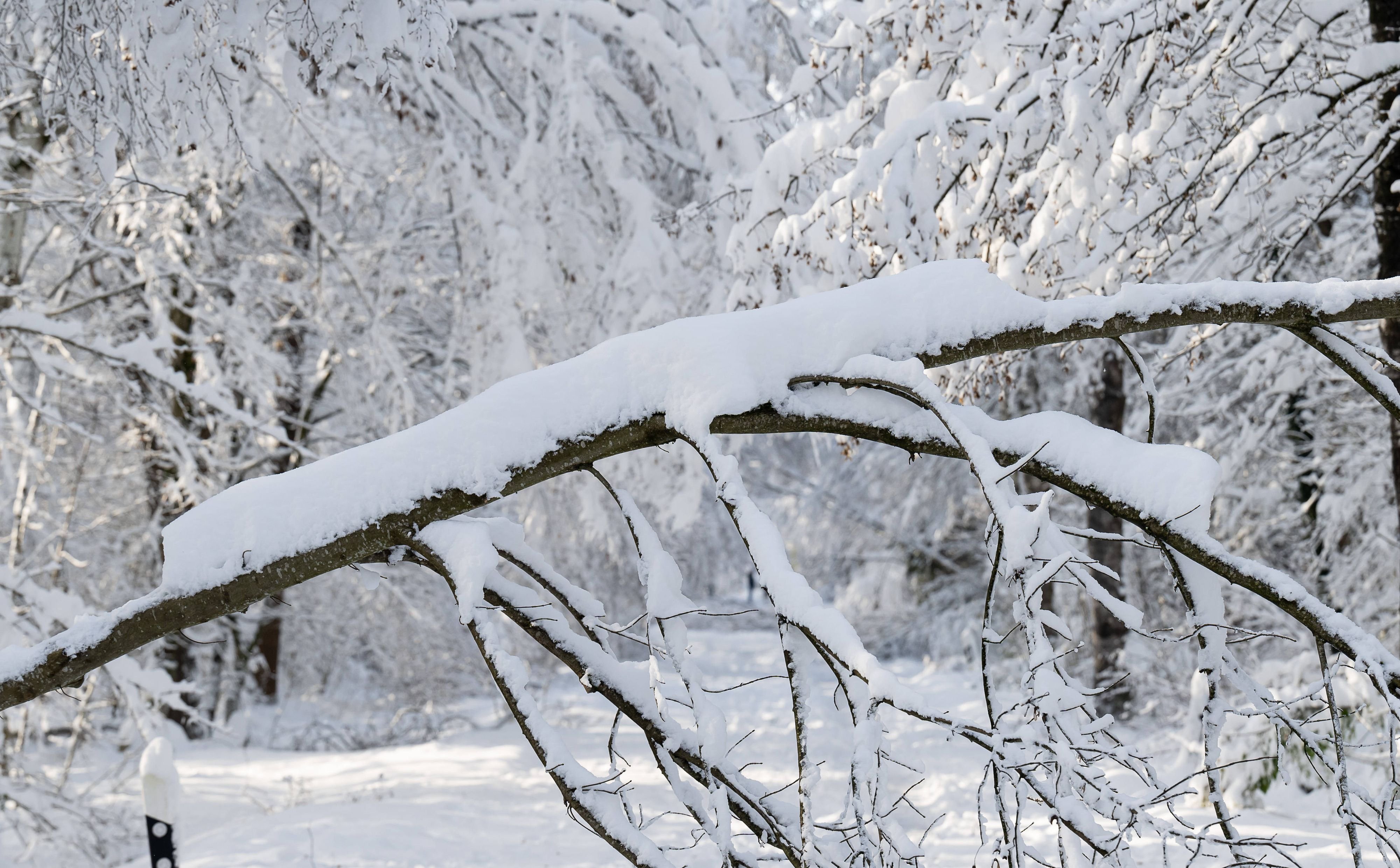 Wetter: Schnee, Regen Und Glätte In Sachsen-Anhalt - Wettervorhersage ...