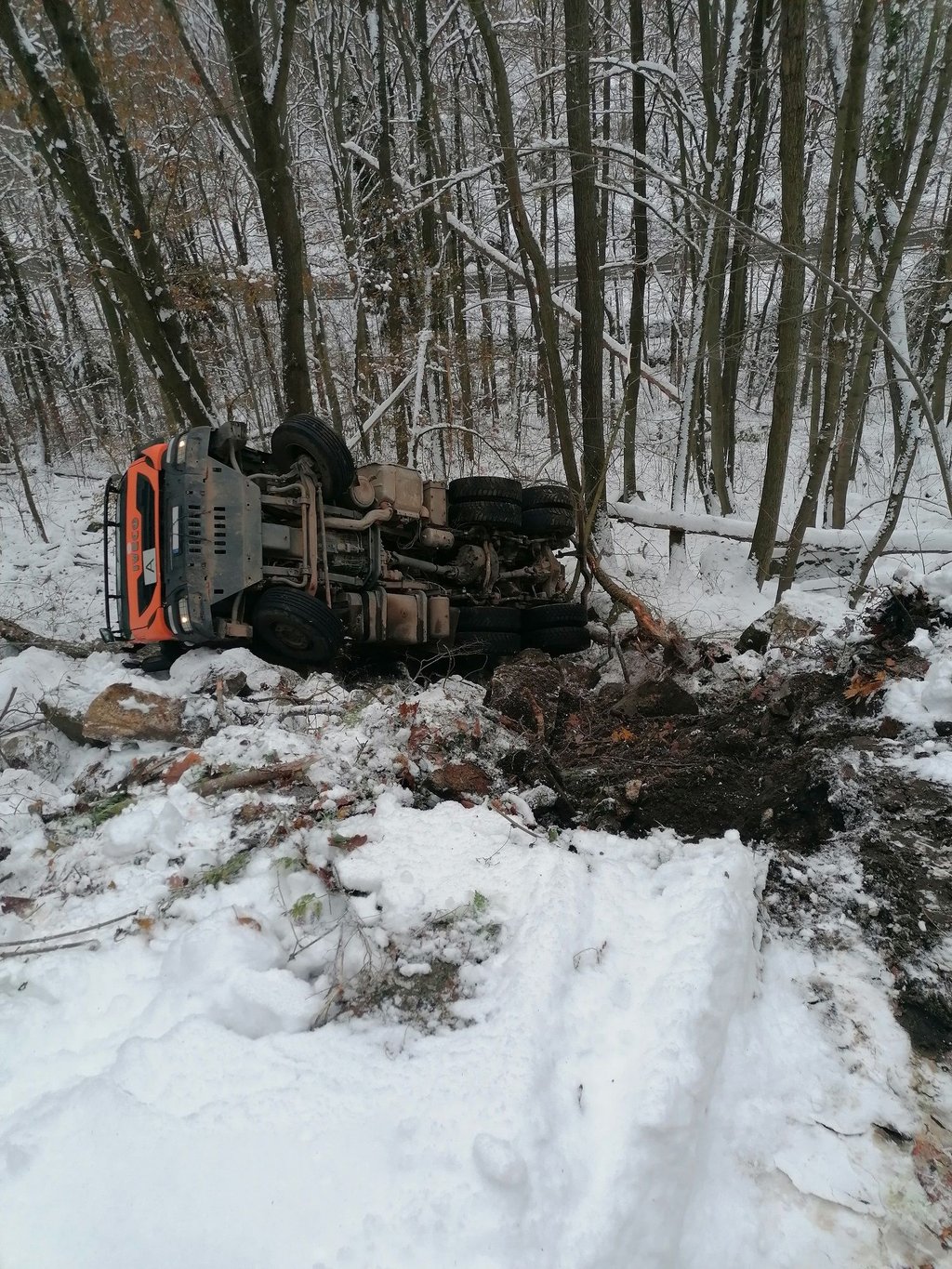 Bei Thale im Harz ist ein Lkw einen Abhang hinuntergestürzt, so die Polizei.