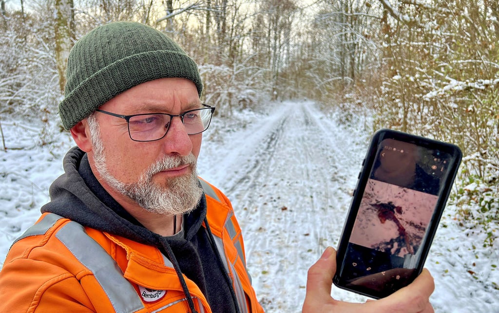 Oliver Lasetzki zeigt das Foto von dem gerissenen Reh am Radweg bei Aderstedt. 