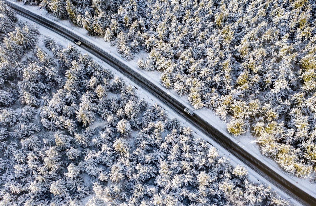 Autos fahren durch einen verschneiten Wald.