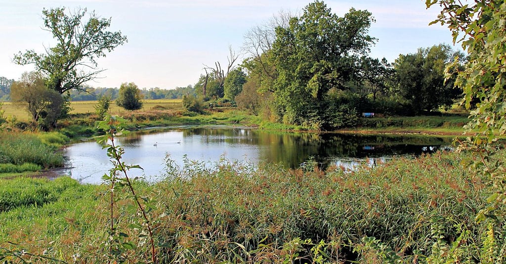 Das Große Loch in Steutz wächst immer mehr zu.