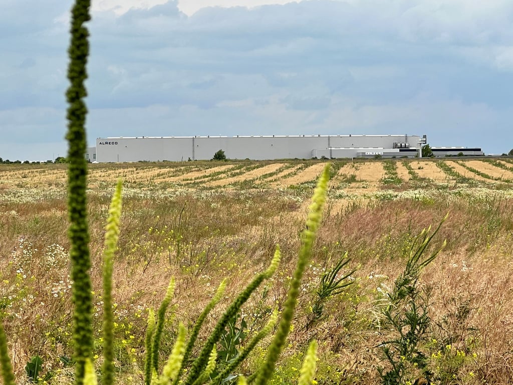 Diese 17 Hektar große Fläche im Bernburger Industriegebiet West hatte sich ein Logistikunternehmen bisher reservieren lassen.