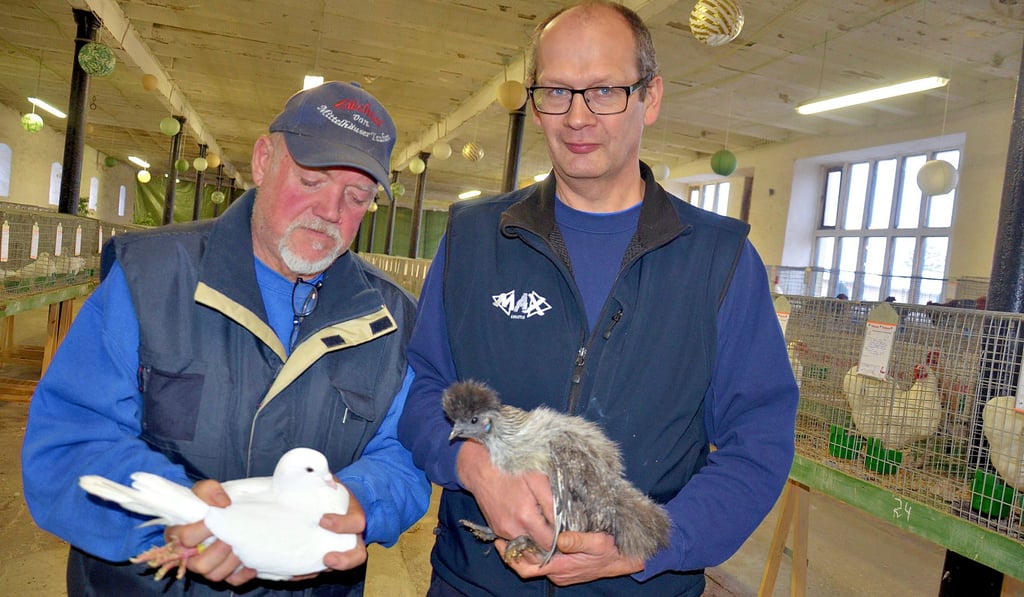 Der Vereinsvorsitzende aus Neugattersleben, Michael Knoth mit der ausgezeichneten Mittelhäuser-Taube (links) sowie sein Stellvertreter Marko Marohn mit einem Zwergseidenhuhn.