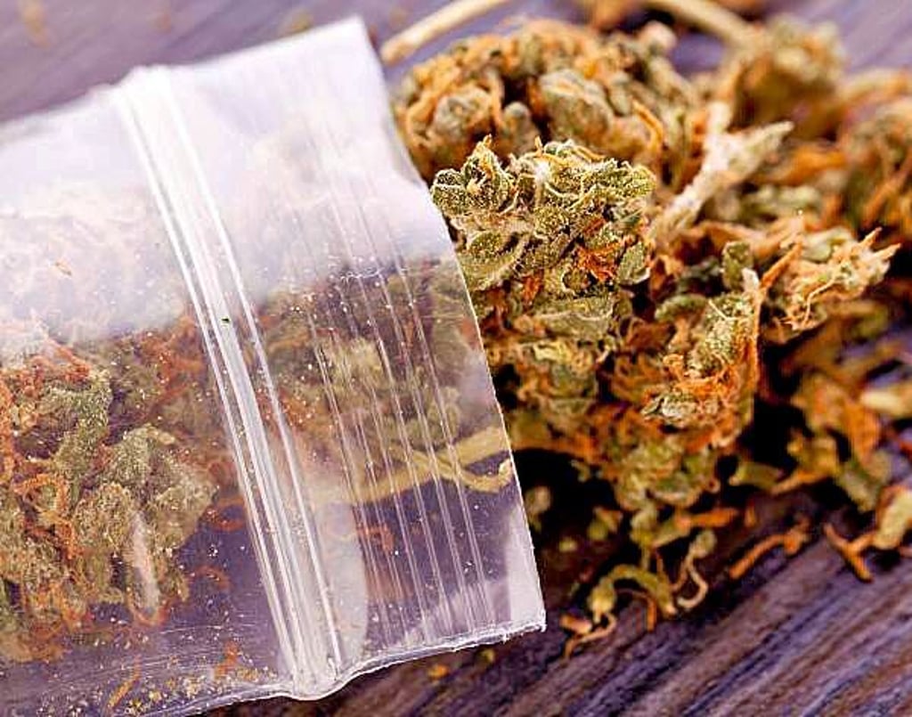 Auch große Mengen Marihuana wurden gefunden.