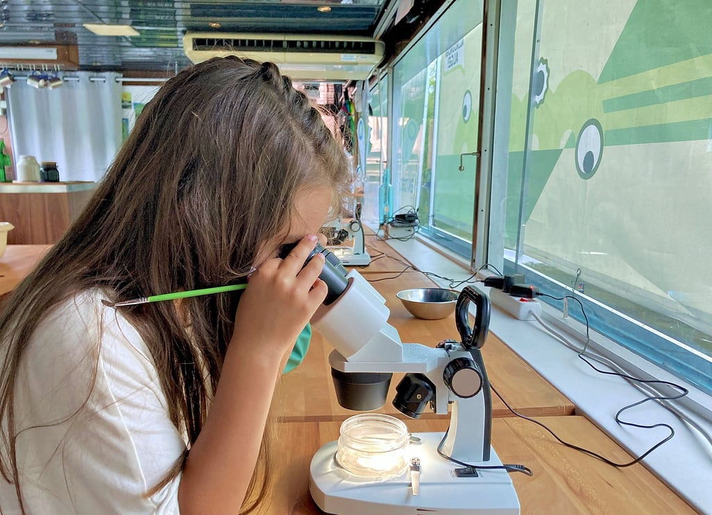 Da wird Kleines groß: Eine Forschungsschiff-Besucherin beobachtet Flusskrebse durchs Mikroskop. Pro Jahr sind rund 5.000 Menschen auf der Make Science zu Gast.