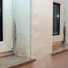 Ein Paradies für Schimmel: Bildet sich am Fenster Kondenswasser, können die Pilze wachsen.