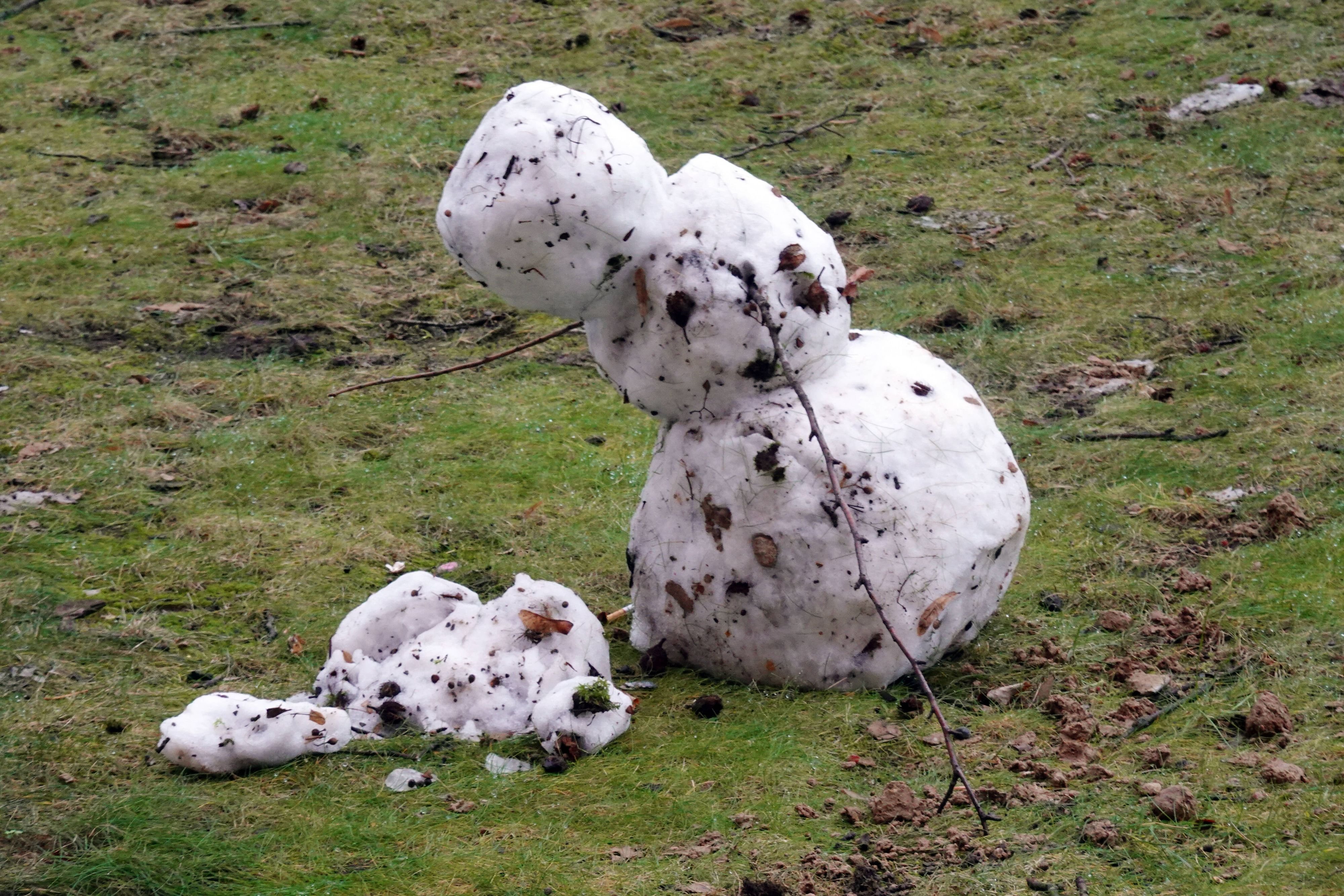 Wetter In Sachsen-Anhalt: Regen Und Sturm Statt Schnee Im Dezember Im ...