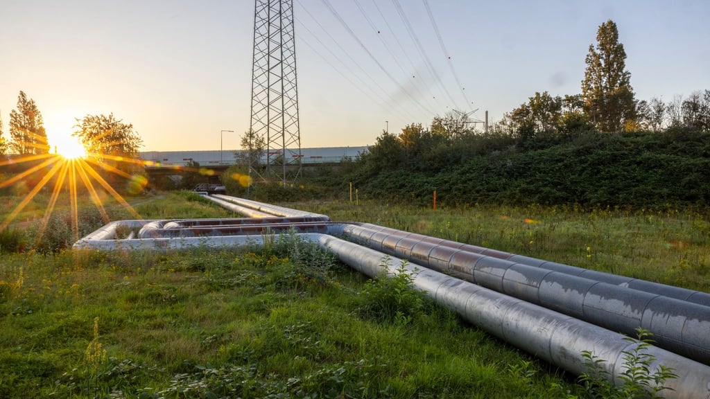 Volles Rohr fürs Klima: Um das Ziel der Dekarbonisierung und Klimaneutralität zu erreichen, sollen mehr Menschen Fernwärme erneuerbaren Energien beziehen.