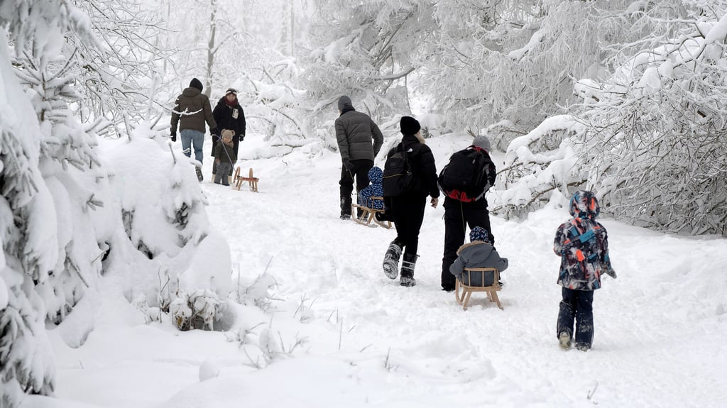 Schnee soweit das Auge reicht: In St. Andreasberg im Harz  geht’s  jetzt per Schlitten hoch auf den  Sonnenberg. 