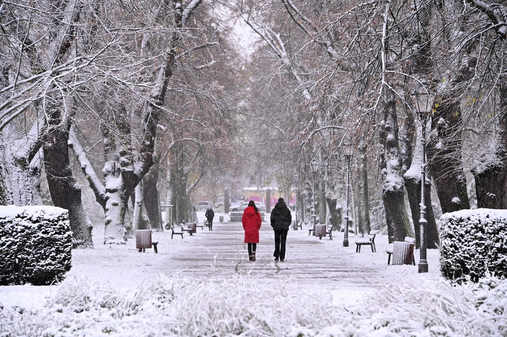 Der erste Schnee fiel in der Nacht zum 28.November in der Landeshauptstadt. Diese jungen Frauen genießen einfach nur die winterliche Landschaft im Nordpark.