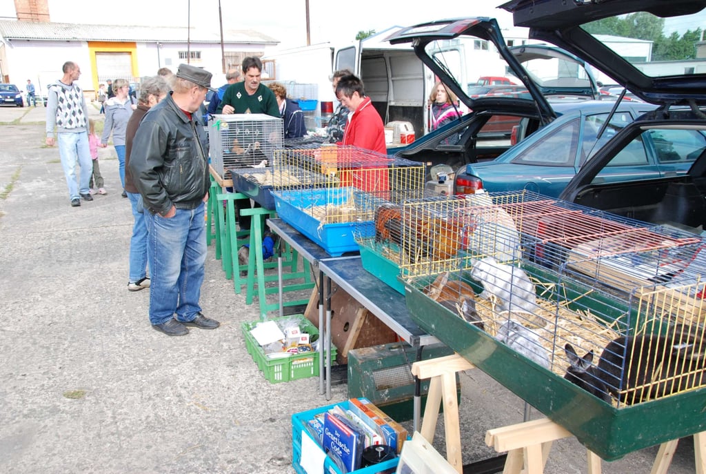 Reichsbürgerszene Floh und Tiermarkt in Kalbe ist illegal
