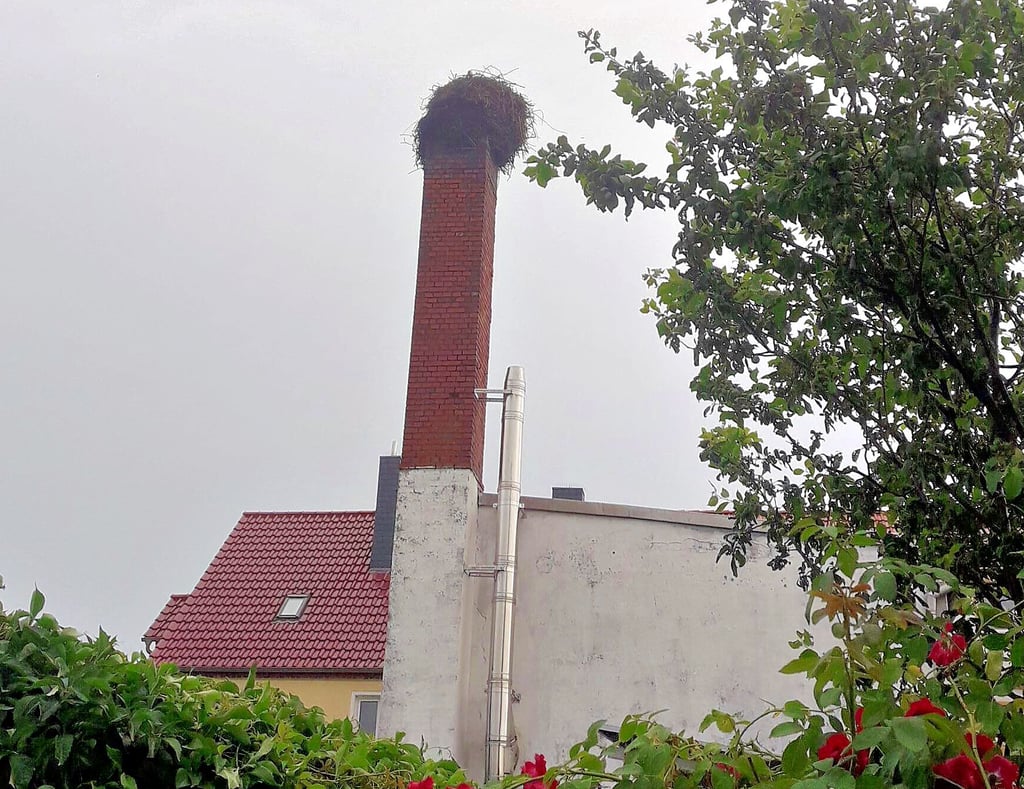 Das Gewicht des riesigen Horstes setzte dem alten Schornstein zu. Nun wurde das Material entfernt.