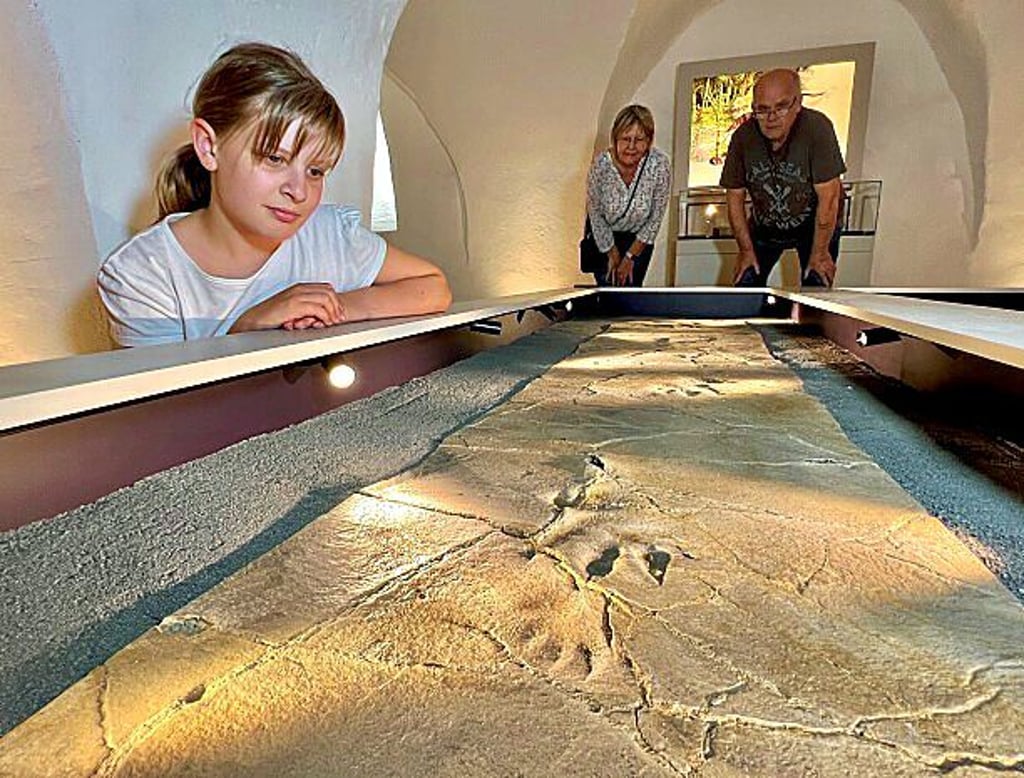 Auch Saurierspuren, die im Steinbruch in Bernburg gefunden wurden, sind im Museum zu sehen.