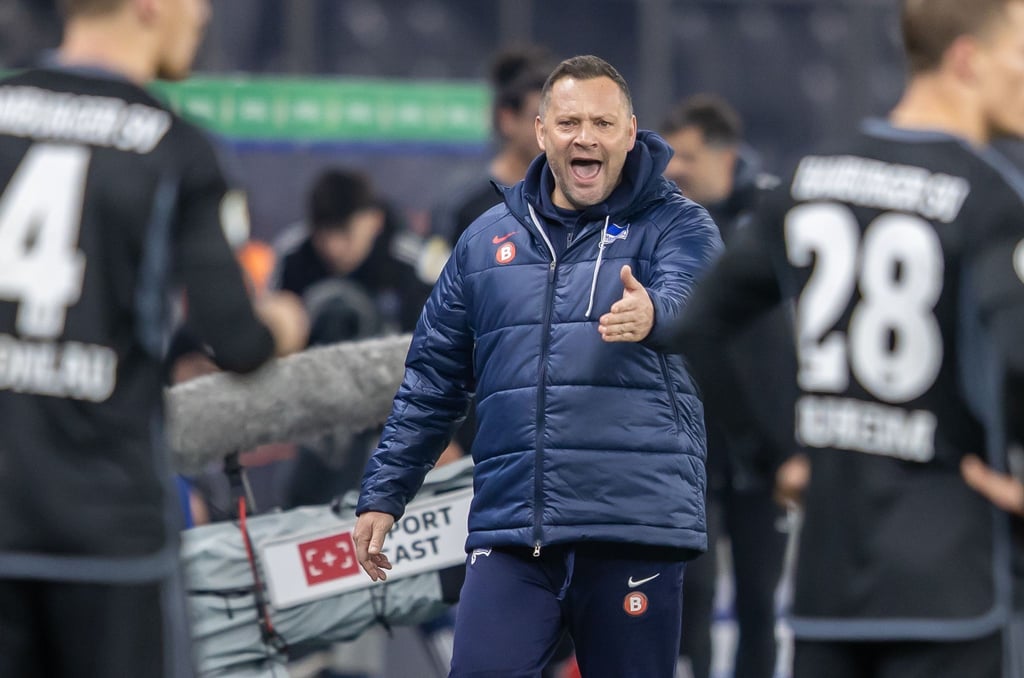 Trainer Pal Dardai von Hertha BSC steht gestikulierend am Spielfeldrand.