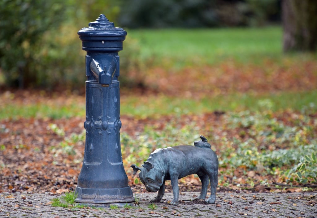 Einer der mehr als 25 Waldmöpse steht am Rand des Parks Humboldthain an der Plauer Straße auf dem Fußweg.