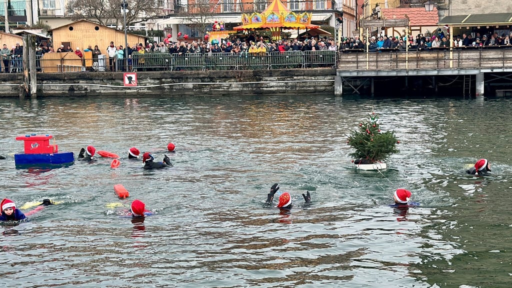 Nikolausschwimmen: Schaulustige schauen den Schwimmern in Lindau zu.