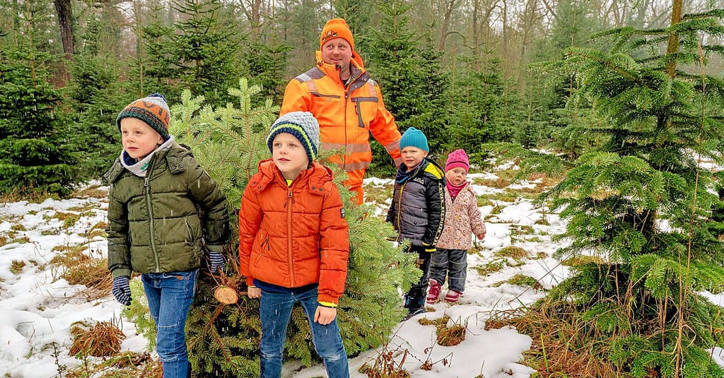 Eine Nordmanntanne soll’s sein: Stefan Töpfer aus Kukulau zieht mit seinen Kindern Vince, Willi, Yoshy und Zaira (v.l.) ein Prachtstück aus dem Wald.