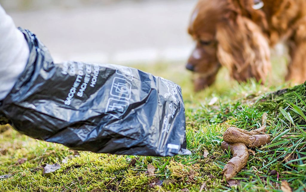 Beutel für den Hundekot sollen in Bitterfeld-Wolfen Pflicht werden.