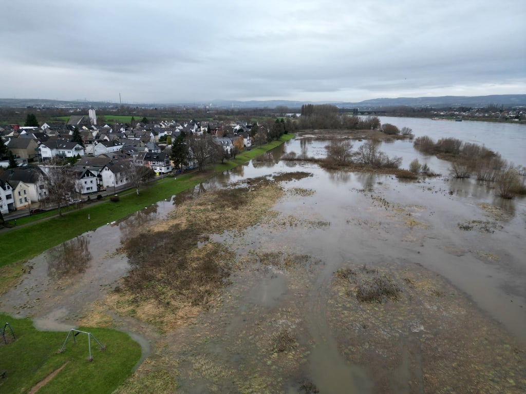 Die Uferwiese von Kaltenengers ist vom Hochwasser des Rheins überflutet.
