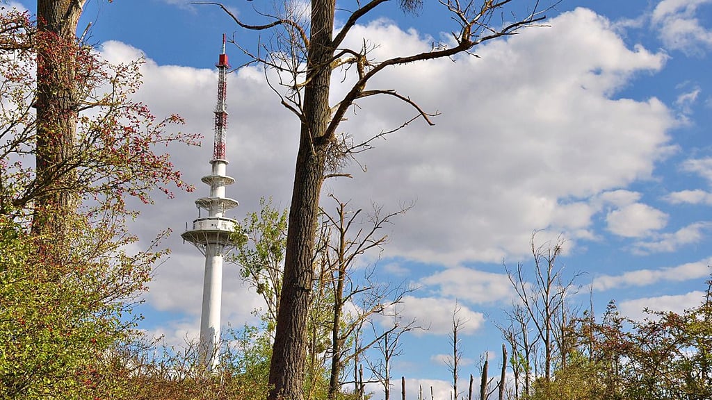 Sender Frohser Berg bei Schönebeck.
