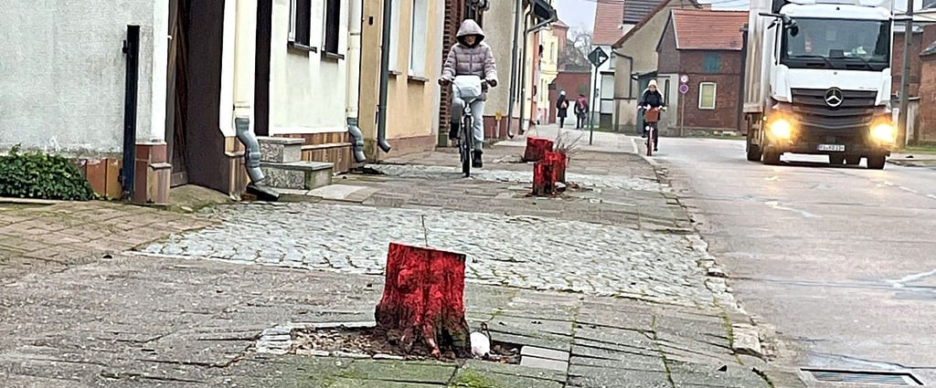 Rote Baumstümpfe in der Rosa-Luxemburg-Straße in Tangerhütte.