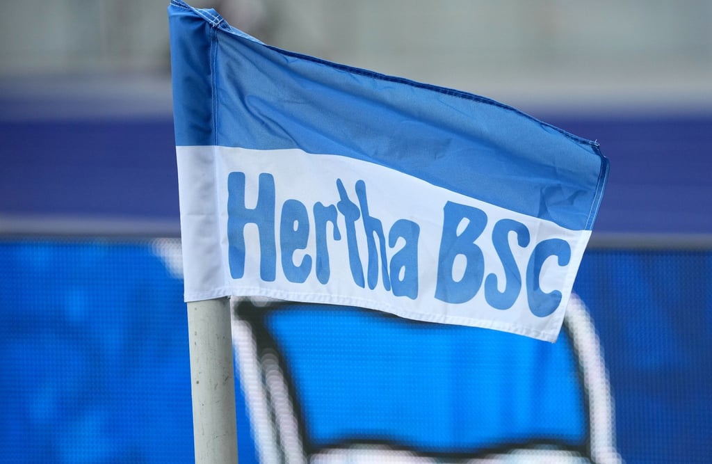Die Eckfahne mit dem Logo des Vereins.