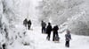 Wintersportler gehen mit ihren Schlitten auf dem Sonnenberg im Harz spazieren.