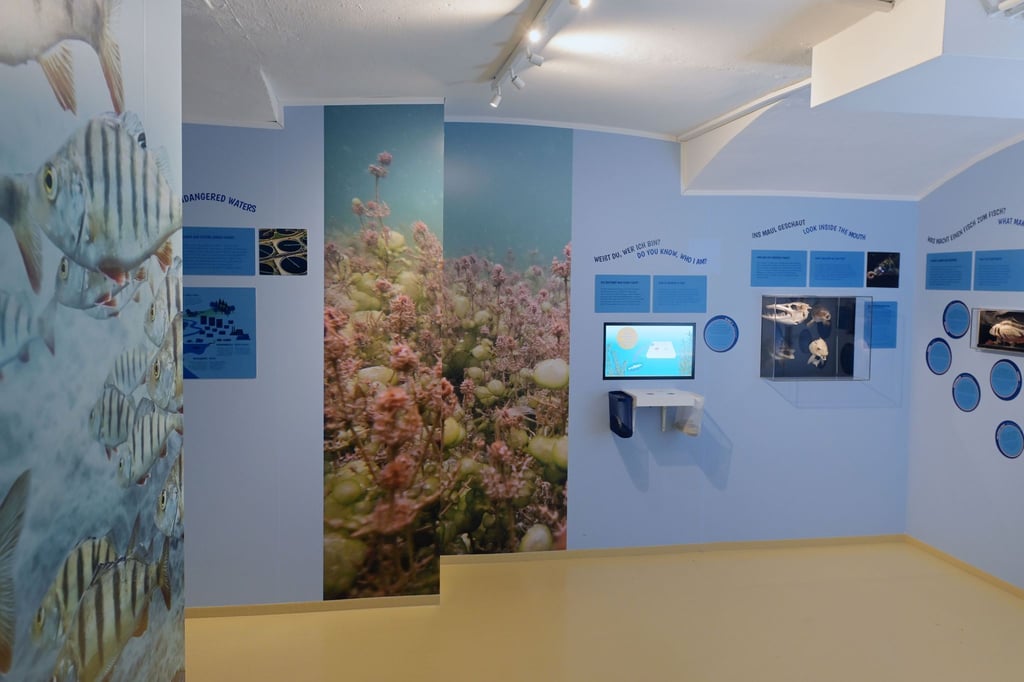 In einem Kellerraum im Aquarium des Naturkundemuseums Potsdam wird über Fische informiert.