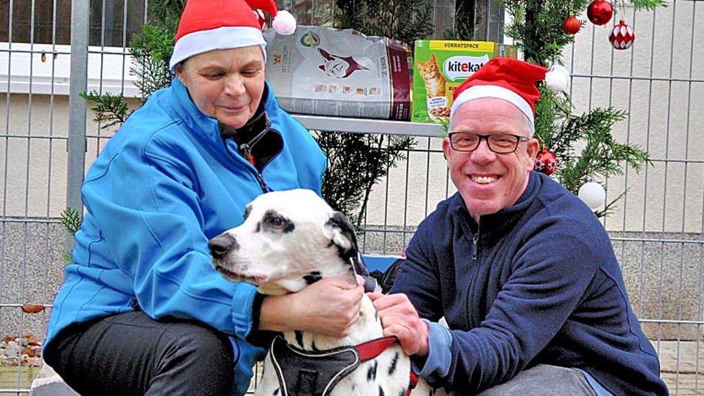 Claudia Engelhardt und Arved Reumann, Mitarbeiter des Tierasyls mit Dalmatiner Leo.