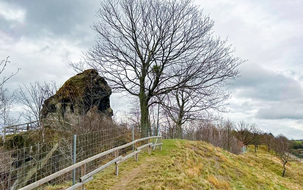 Um die Beweidung mit Schafen zu erleichtern, wurden am Schierberg feste Wildzäune aufgestellt. Der „Dicke Stein“ ist dabei weiter frei zugänglich.