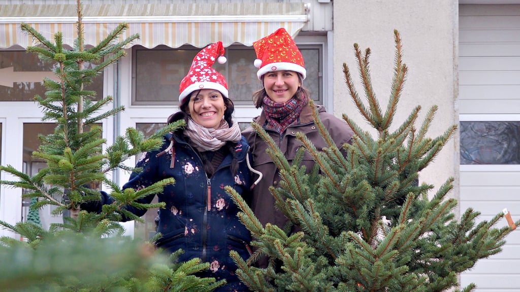 Manuela Kreutzmann (r.) verkauft im Landmarkt Wolmirstedt Tannenbäume direkt aus der Region. Cousine Claudine Kreutzmann hilft dabei gern aus.