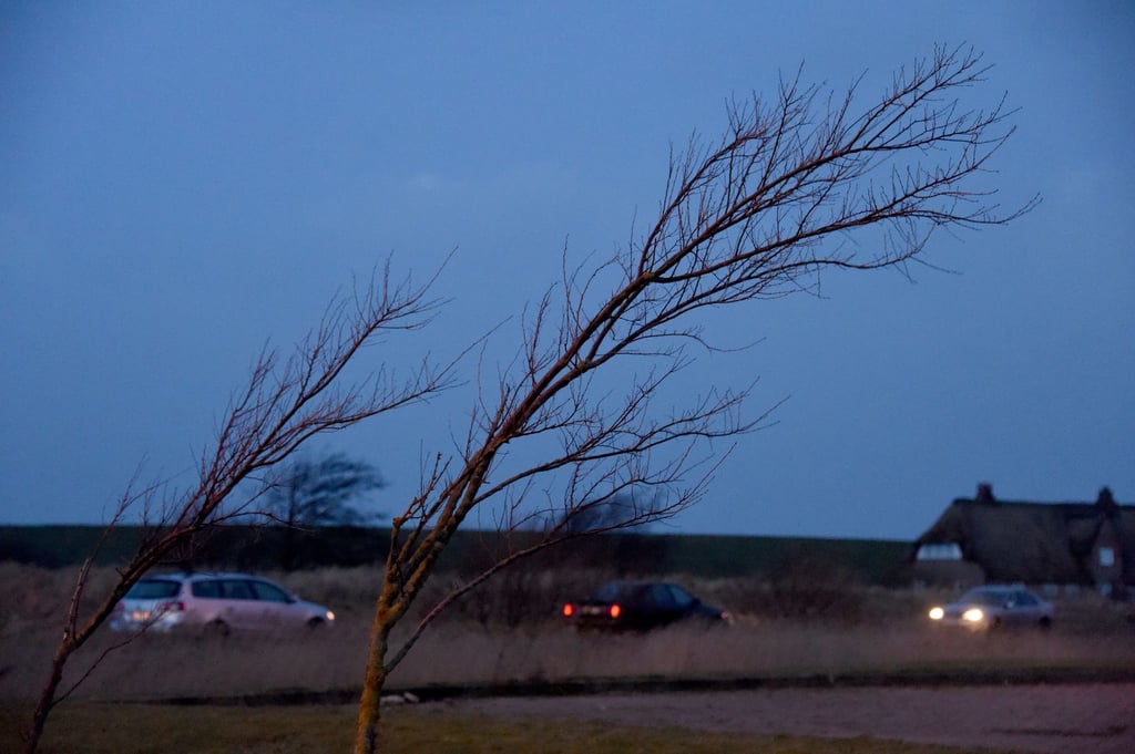 Volle Konzentration und Tempo drosseln: Wer unterwegs von einem Sturm überrascht wird, sollte gewisse Sicherheitstipps beachten.