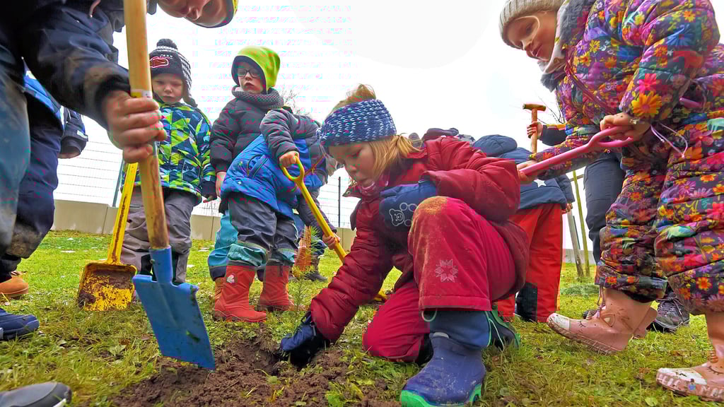 Emsig graben die älteren Kinder der Kita in Mehringen das Pflanzloch für den neuen Baum.