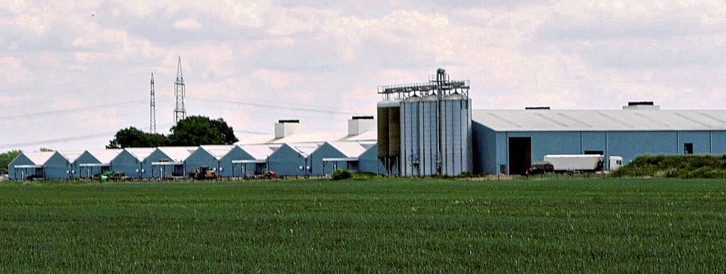 Die Schweinemastanlage in Gerbisbach