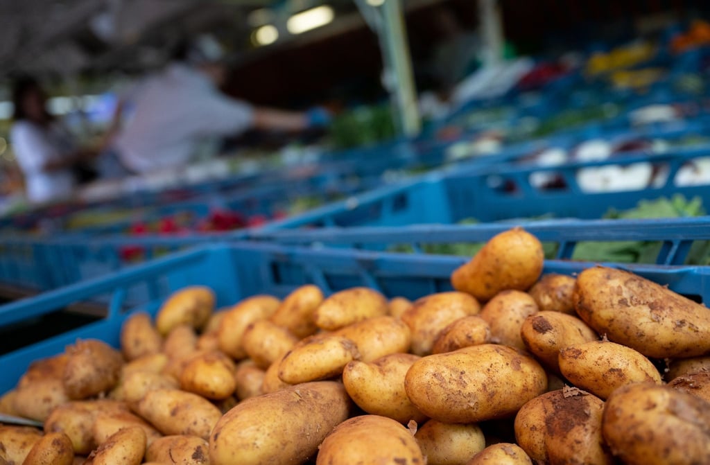 Kartoffel und andere Obst- und Gemüsesorten werden an einem Marktstand am Rotkreuzplatz angeboten.