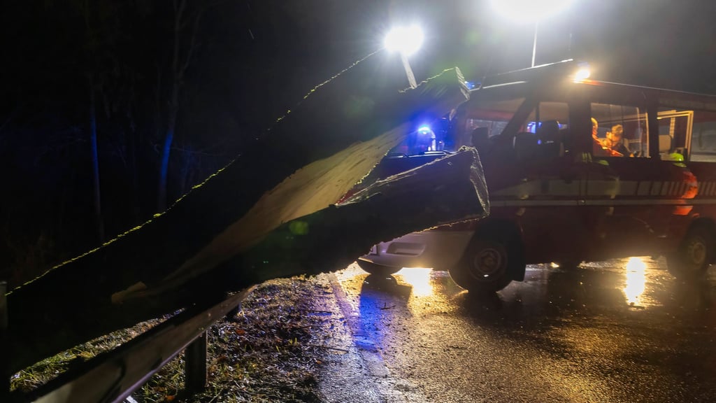 Mehrere Bäume stürzten durch Sturmtief Zoltan im Landkreis wittenberg auf die Straße.