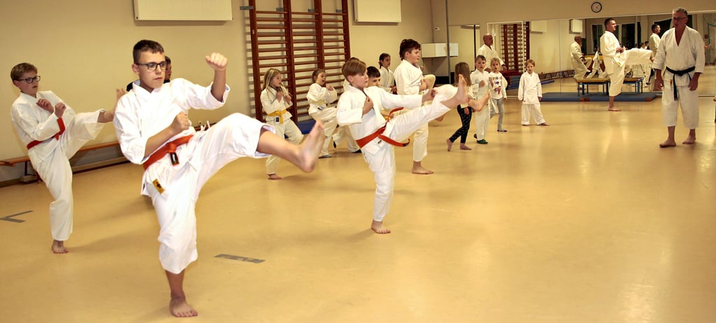 Der erfahrene Trainer Lothar Pietzschmann (5. Dan, rechts) gibt die Kommandos und Grußformen im Karate-Unterricht vor.
