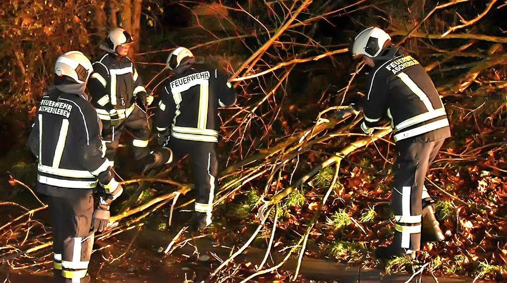 Feuerwehrleute beseitigen Sturmschäden in Aschersleben.