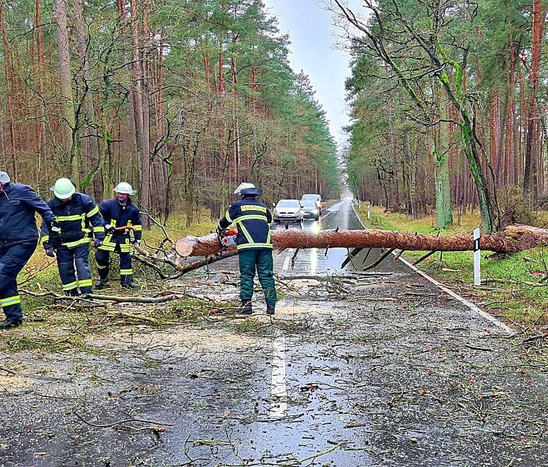 Sturmtief Zoltan Zieht über Deutschland: Sturm Wütet Im Landkreis ...