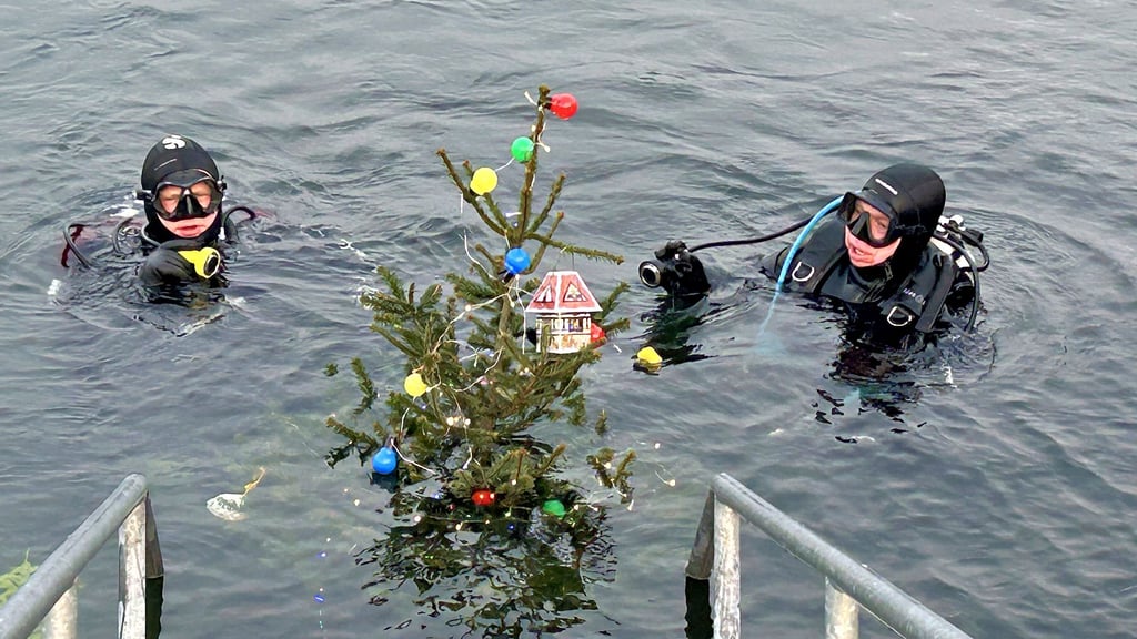 Mutige Taucher trotzen der Kälte und versenken einen festlich geschmückten Weihnachtsbaum in der Sandersdorfer Förstergrube.