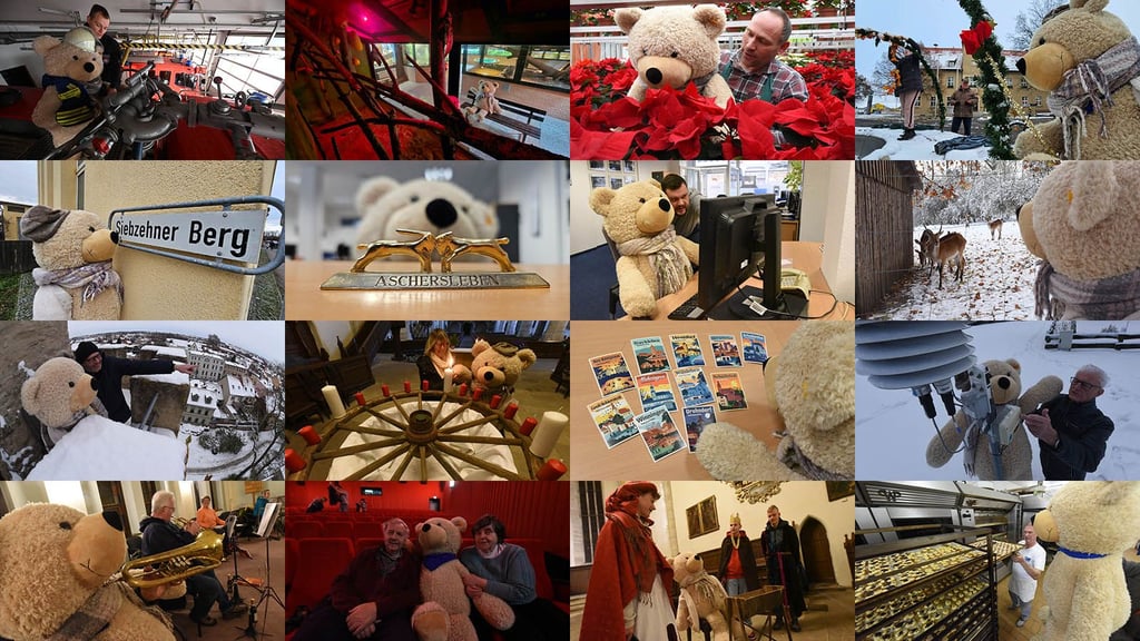 Teddy im Advent. Er war täglich unterwegs, um alle Türchen am Adventskalender zu öffnen.