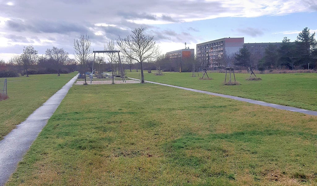 Vom Skaterpark bis zur Einmündung Fuhnestraße sollen im Nordpark neue Bäume gepflanzt werden.