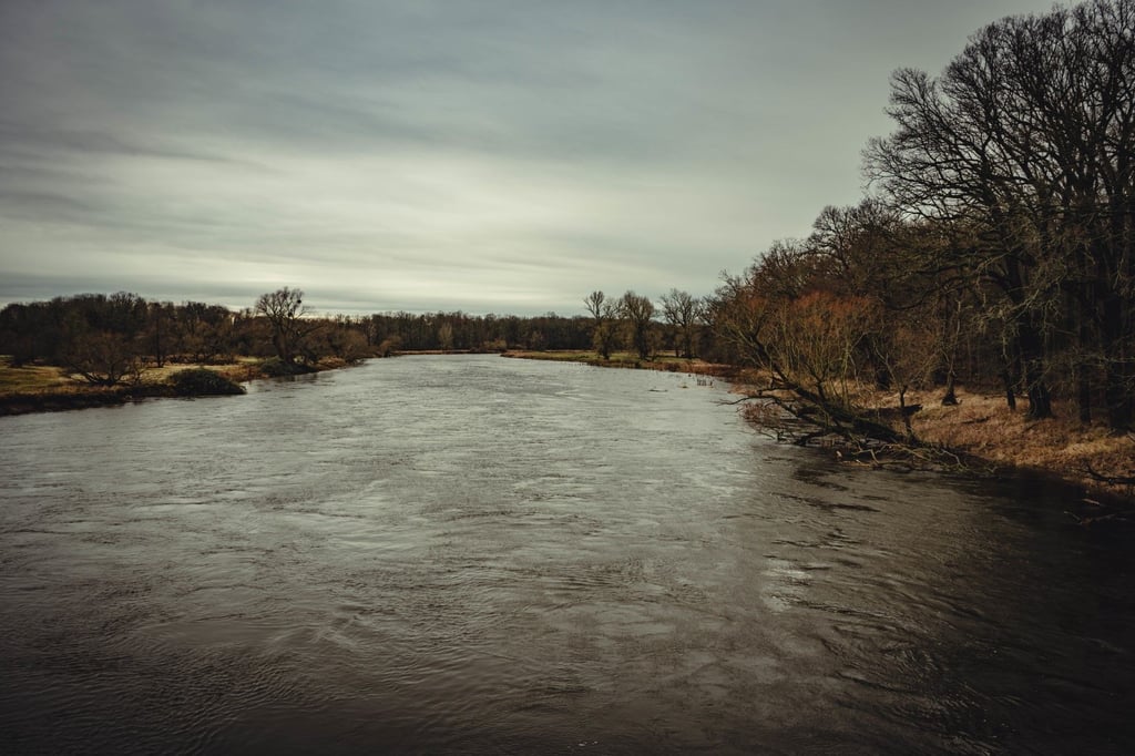 Der anhaltende Regen der letzten Tage hat in Dessau-Roßlau die Pegel an Elbe und Mulde steigen lassen. Für die Mulde gilt Alarmstufe 2, für die Elbe Alarmstufe 1.