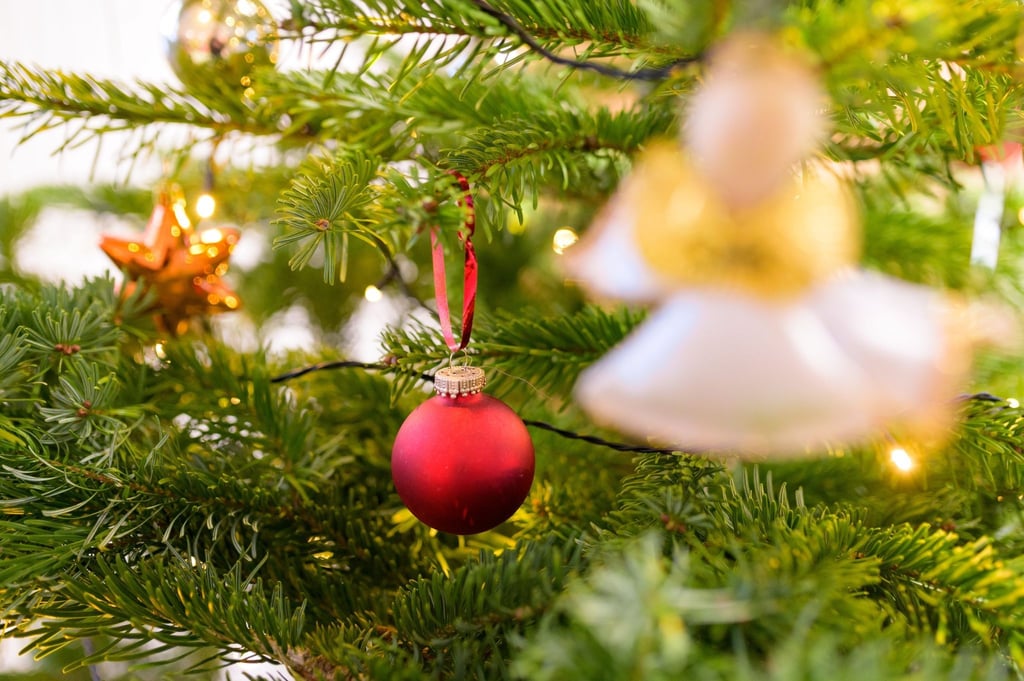 Ein geschmückter Tannenbaum.