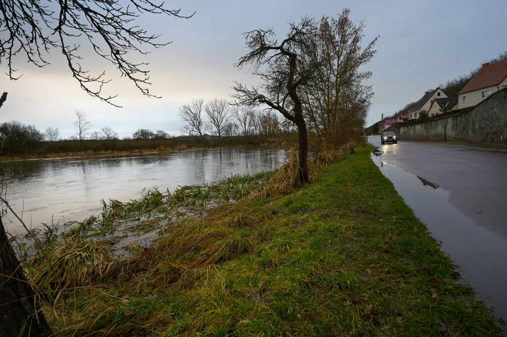 Die Uferwiesen sind vom Hochwasser der Saale überflutet.